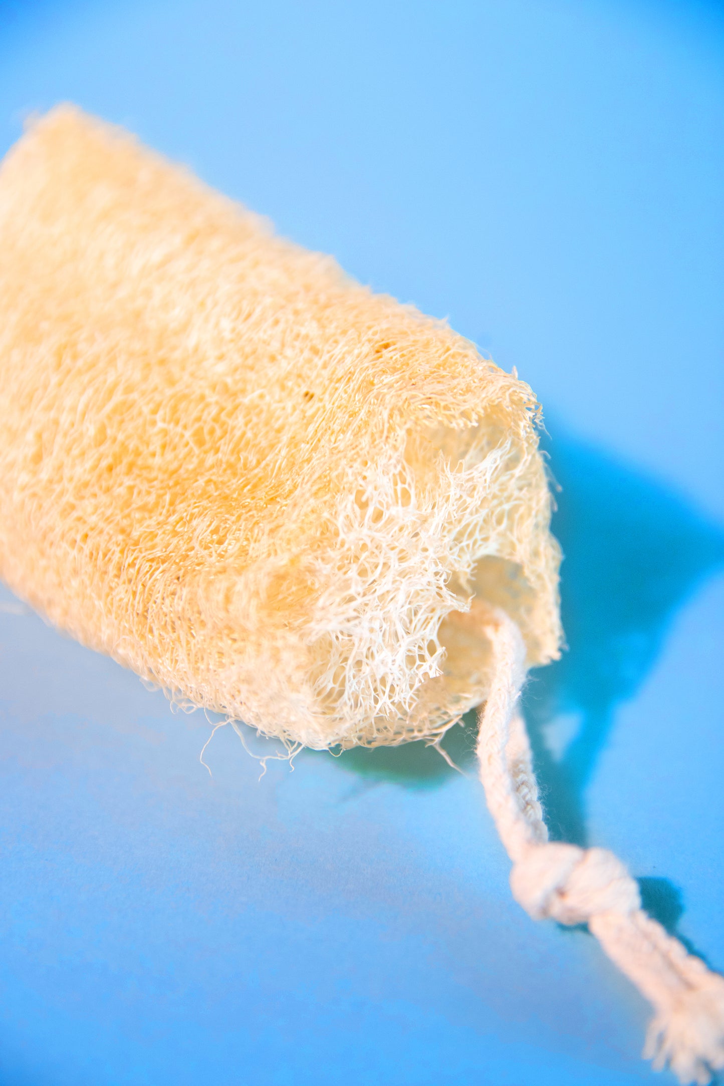 Natural Luffa