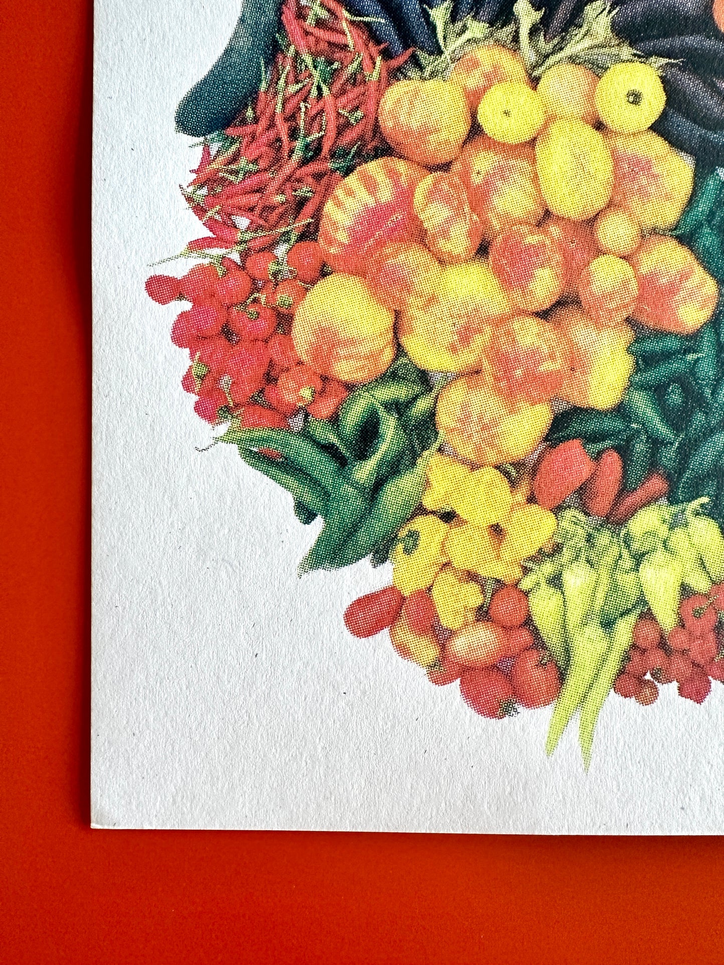 Veggies Print