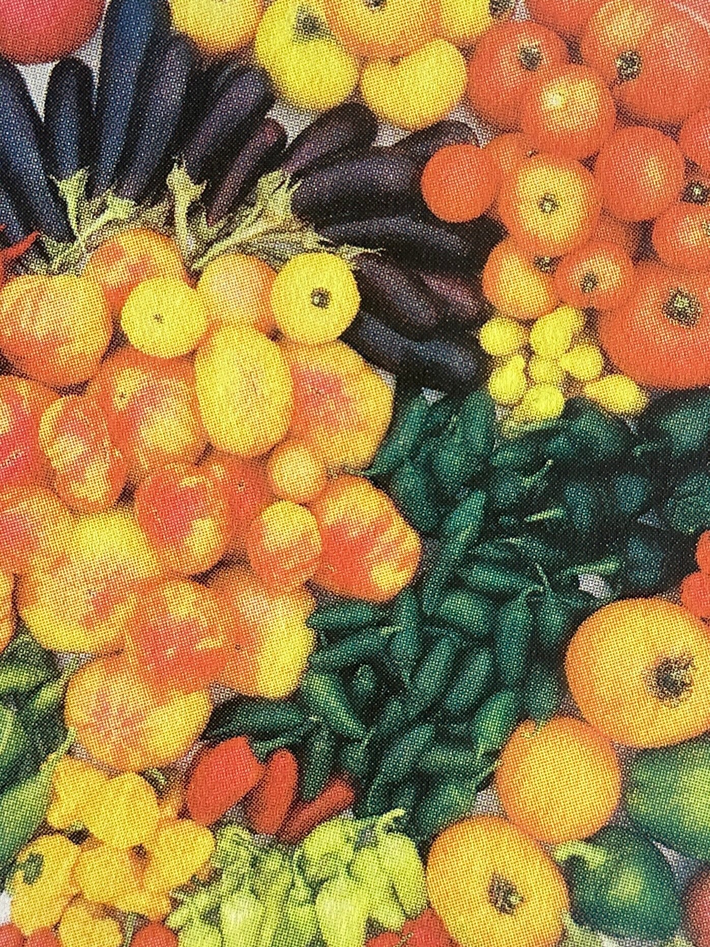 Veggies Print