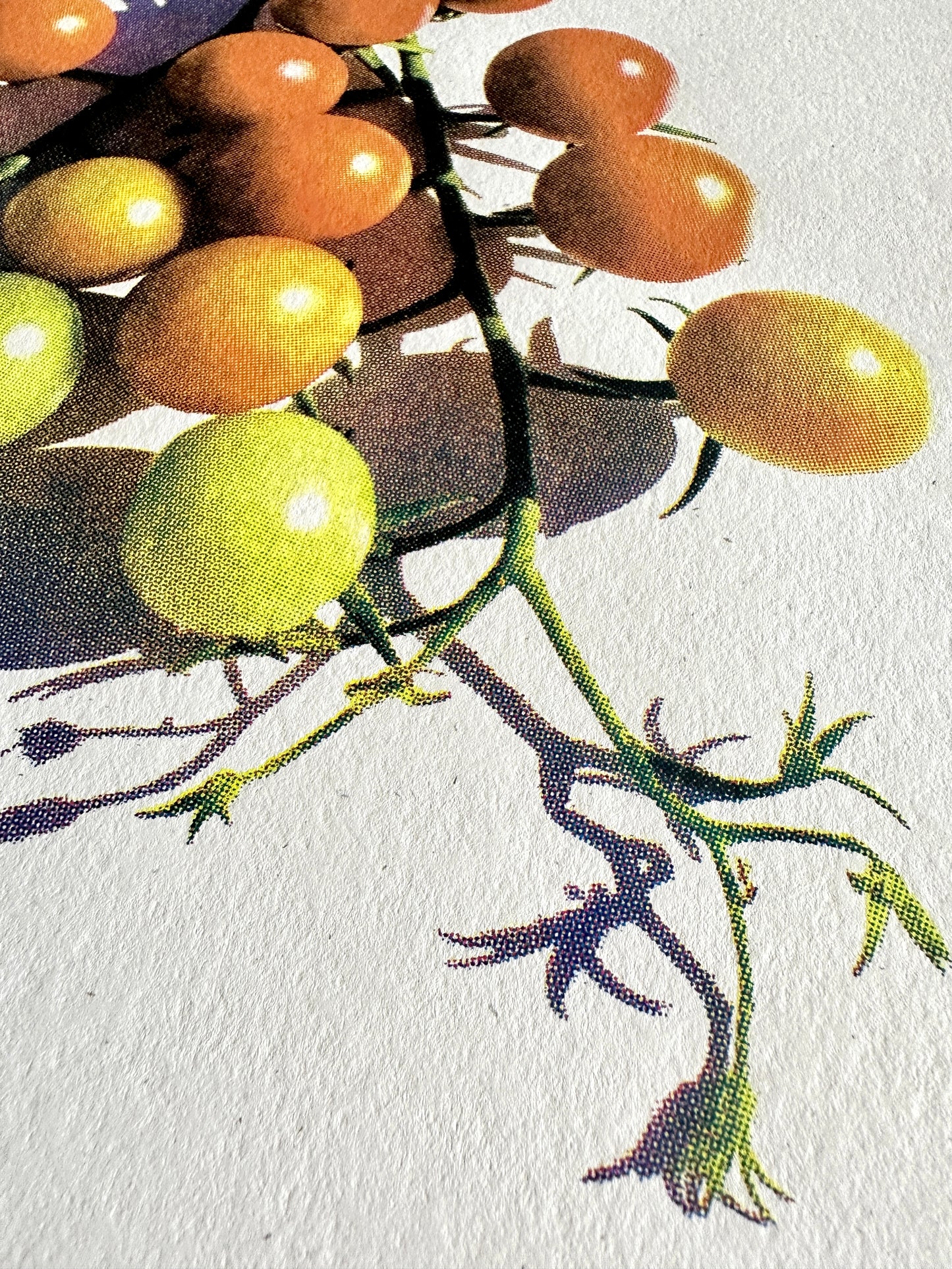 Cherry Tomatoes Print