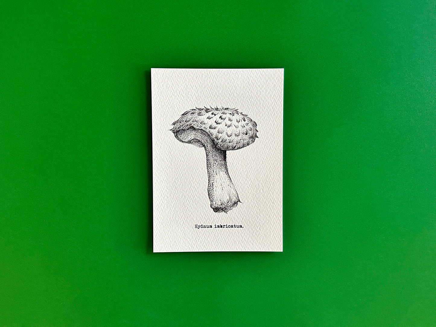 Mushroom Print Collection